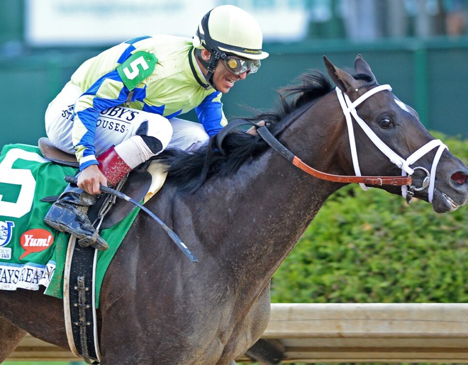 Always Dreaming - Kentucky Derby 2017 - Joe Labozzetta