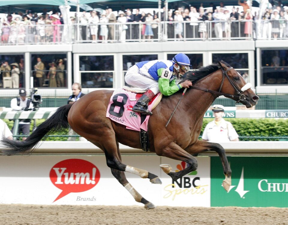 Barbaro - Kentucky Derby 2006 - Churchill Downs Media
