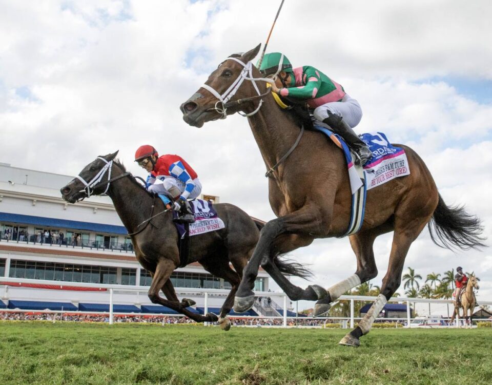 Be Your Best - Debra A. Roma - Daily Racing Form