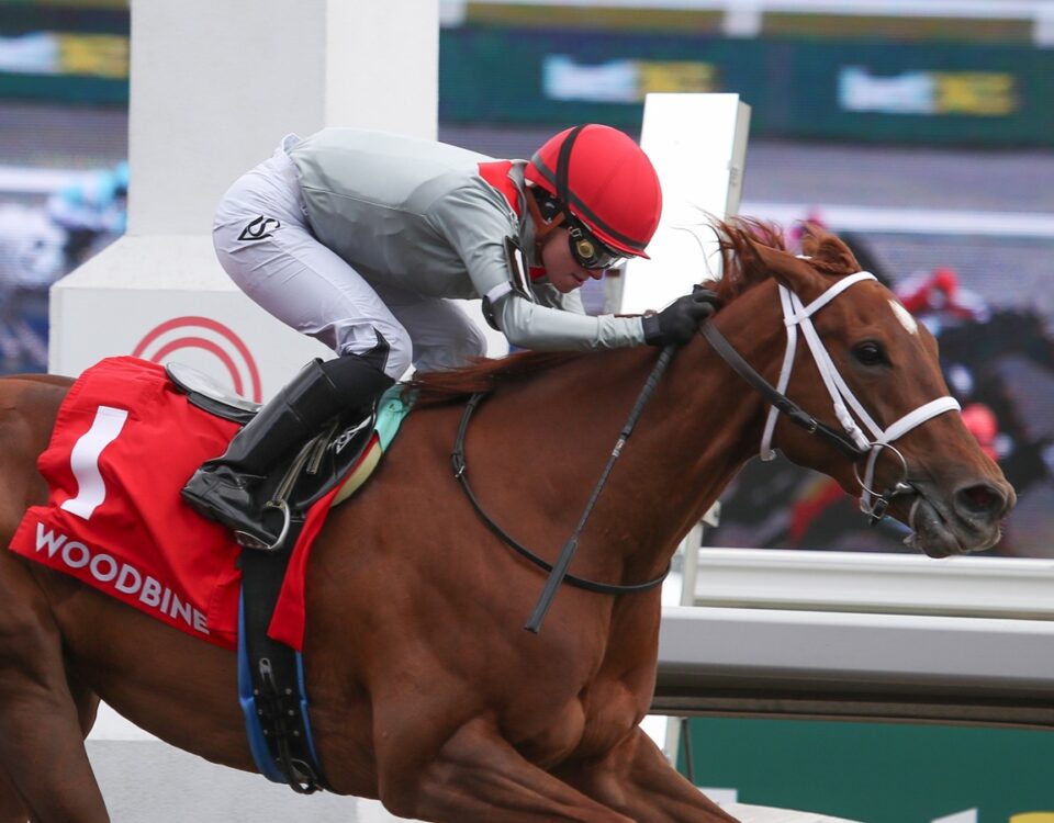 Brindi - Julie Wright - Daily Racing Form