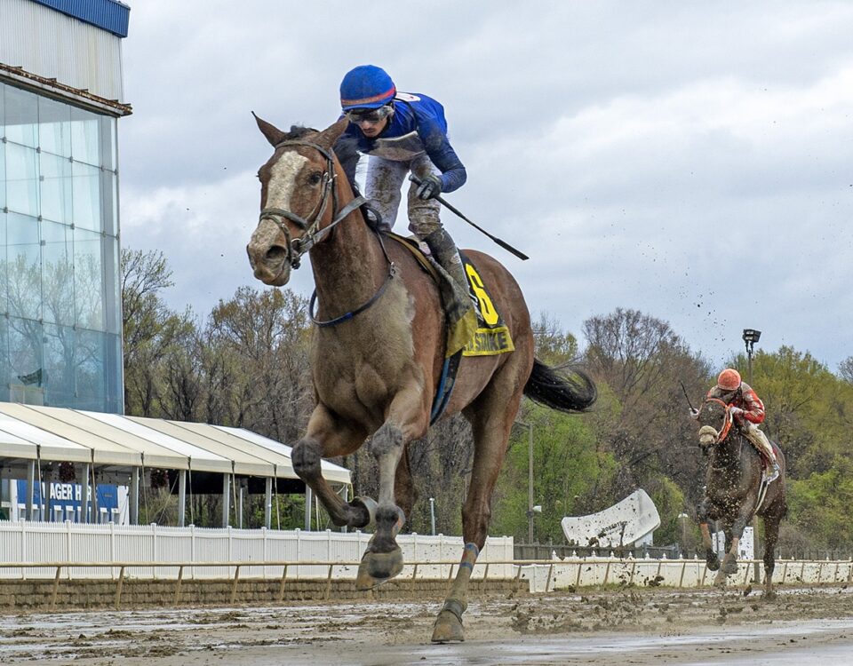 Cataleya Strike - Native Dancer Stakes - Jerry Dzierwinsky