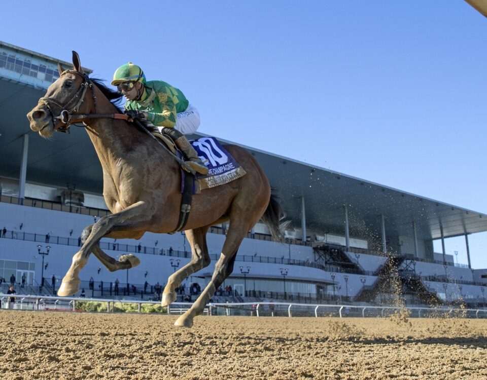 Chancer Mc Patrick - Barbara D. Livingston - Daily Racing Form