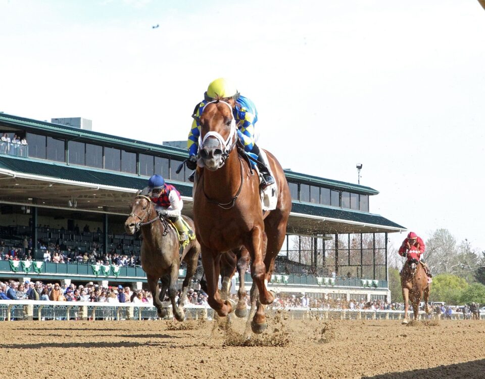 Colloquial - Coglianese Photo