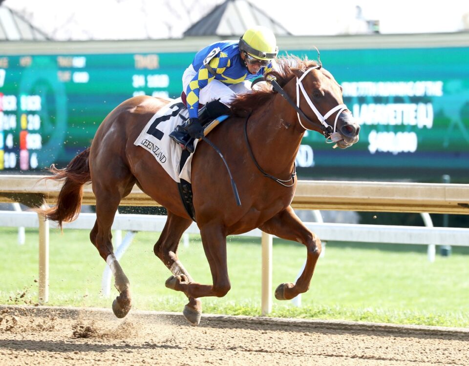 Colloquial - Lafayette Stakes - Coady Media