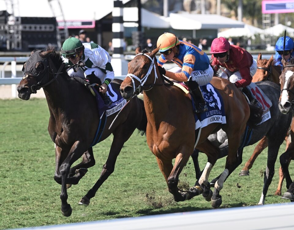 Forever After All - La Prevoyante Stakes G3T - Coglianese Photo