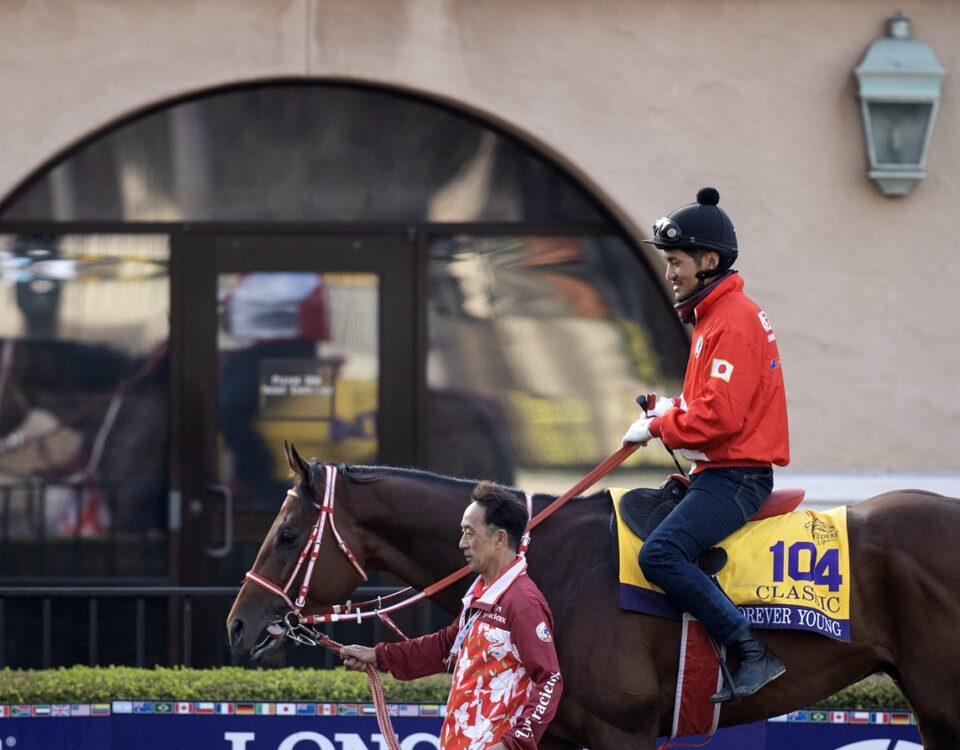 Forever Young (2024 en Del Mar) Foto: Barbara D. Livingston / Daily Racing Form
