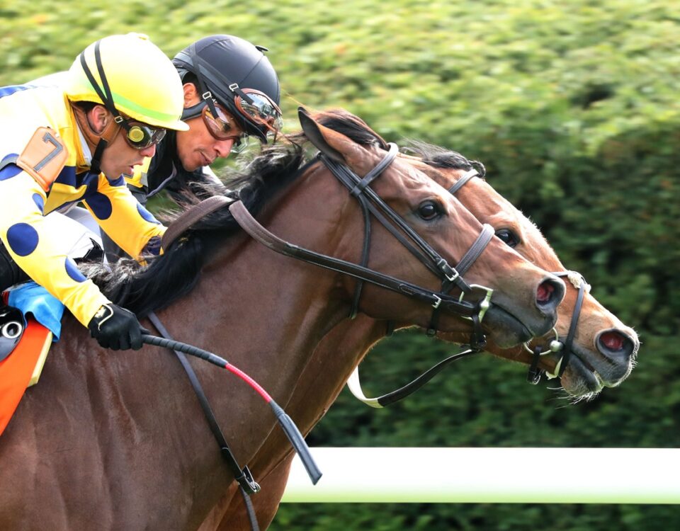 Future Is Now - Giants Causeway G3T - Coady Media