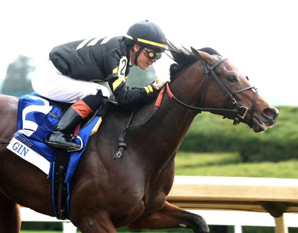 Gin Gin - Doubledogdare Stakes G3 - Coady Media