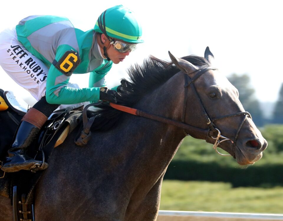Gosger - Lexington Stakes G3 - Coady Media
