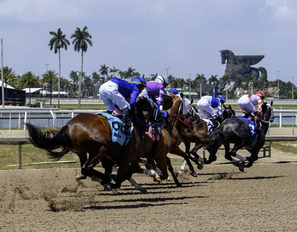 Gulfstream scenic - Ryan Thompson Coglianese Photo