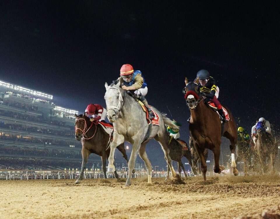 Hit Show - Dubai World Cup - Dubai Racing Media