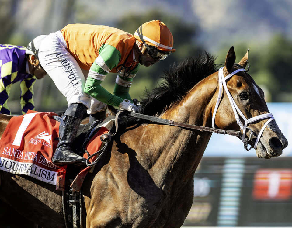 Journalism - Santa Anita Derby - Benoit Photo