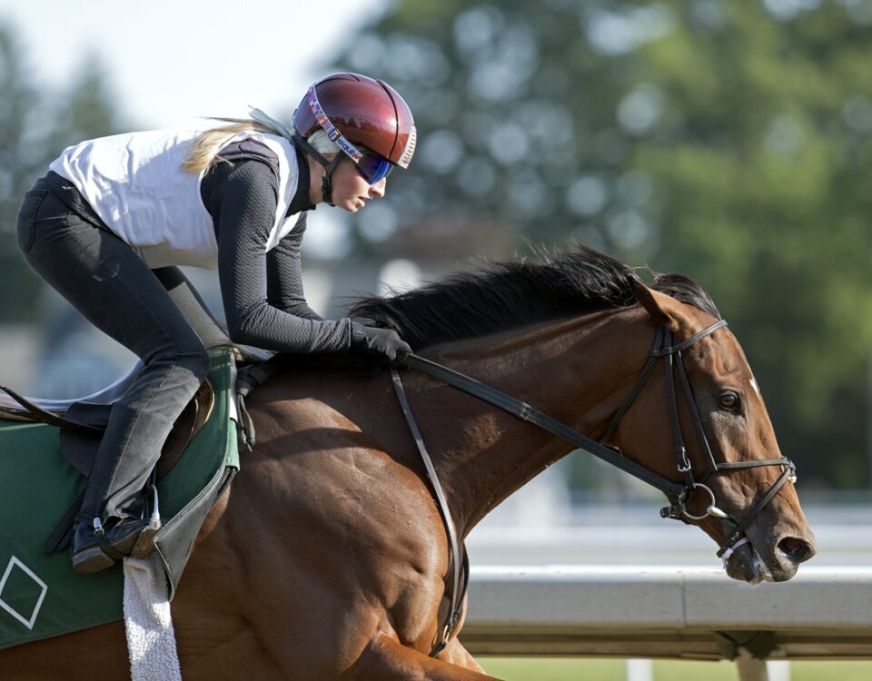 Just F Y I - Barbara D. Livingston - Daily Racing Form