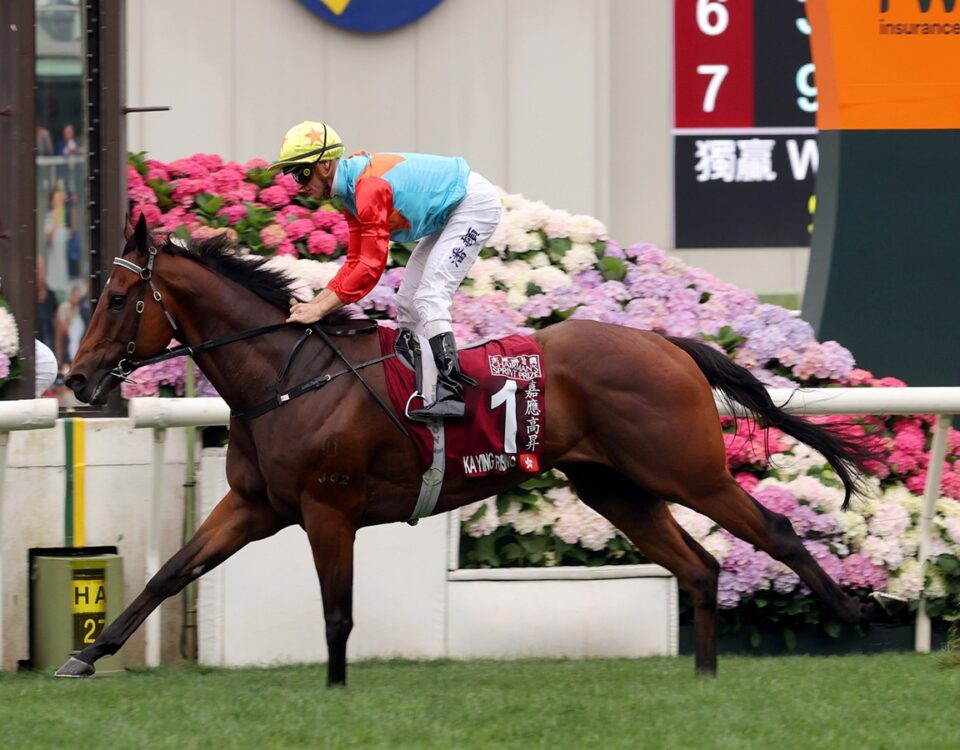 Ka Ying Rising - Foto Hong Kong Racing