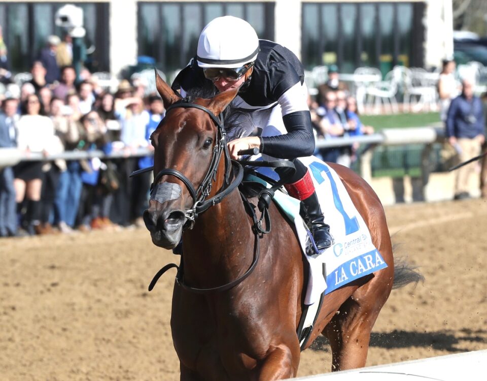 La Cara - Ashland G1 - Coady Media