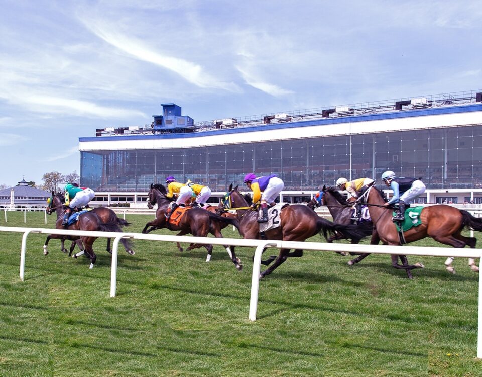 Laurel scenic turf - Jim McCue