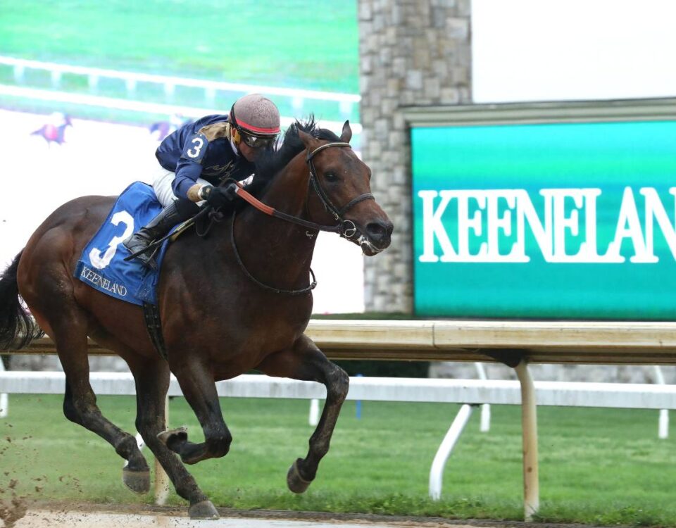 Normandy Coast - Palisades Stakes - Coady Media
