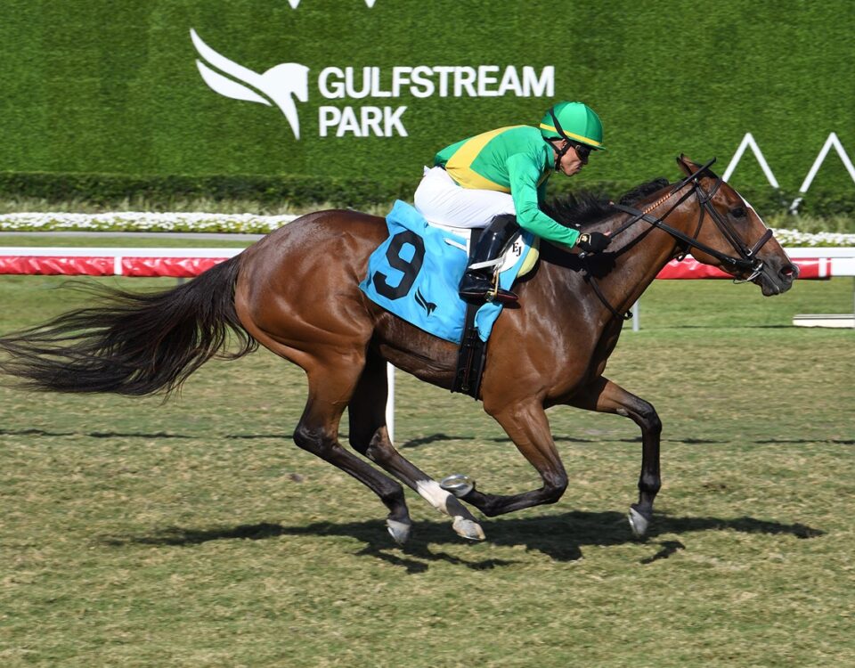 Ozara - Monroe Stakes - Lauren King - Coglianese Photo