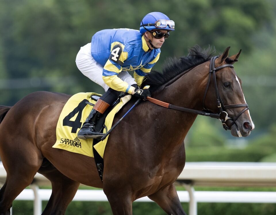 Praetor - Barbara D. Livingston - Daily Racing Form