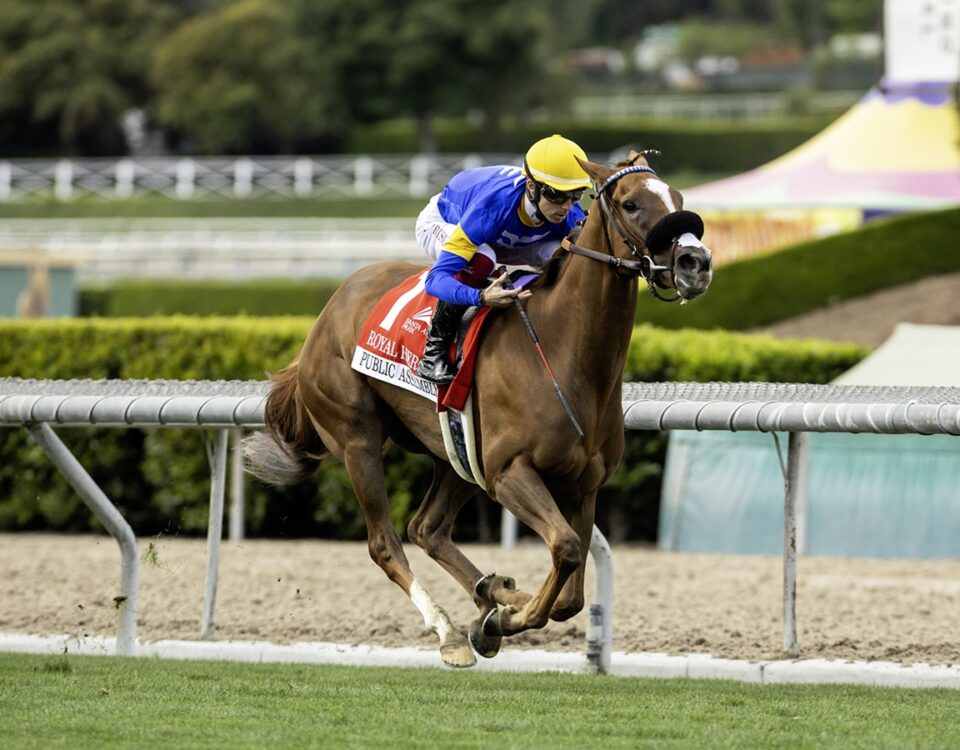 Public Assembly - Royal Heroine Stakes - Benoit Photo