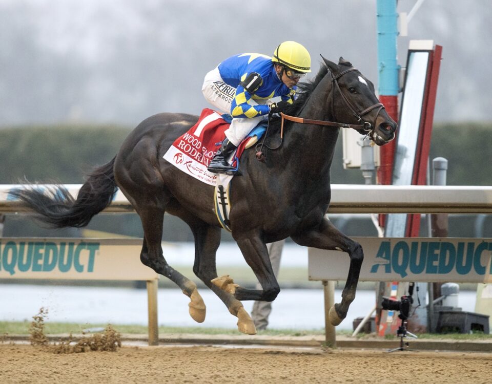 Rodriguez - Wood Memorial G2 - Barbara D. Livingston - Daily Racing Form