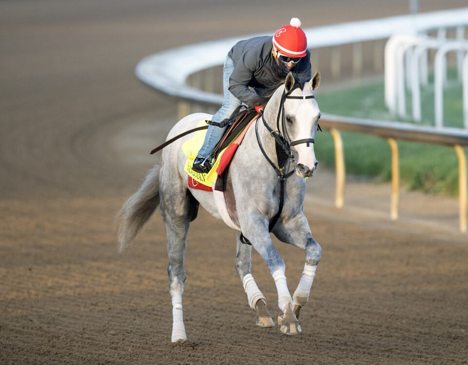 Sandman - Churchill-Downs - Barbara-D. Livingston - Daily Racing Form