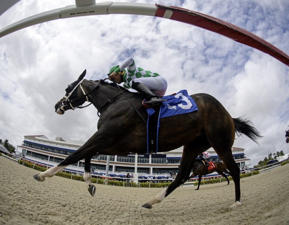 Shelovestotravel - Ryan Thompson/Coglianese Photo