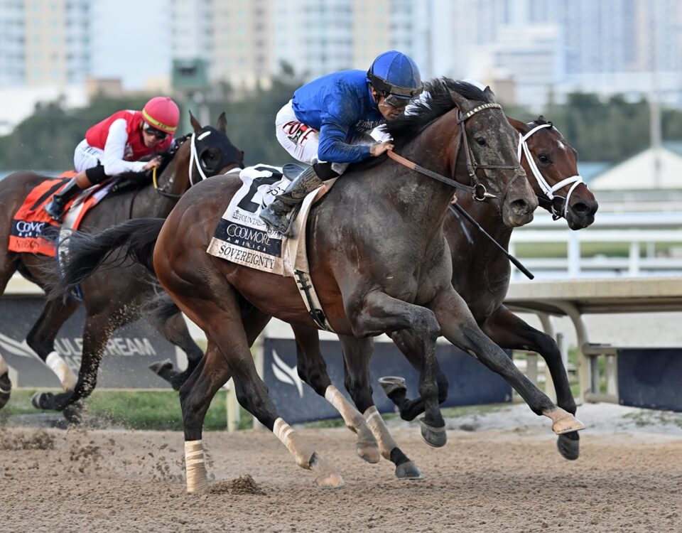Sovereignty - Lauren King - Coglianese Photo