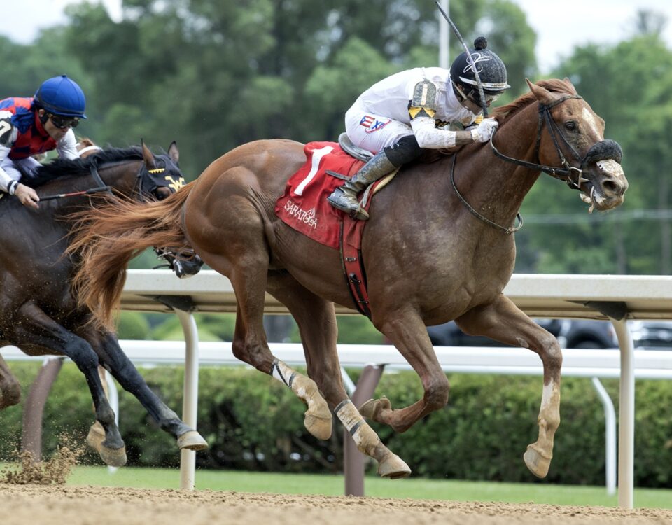 Studlydoright - Tremont Stakes - Barbara D. Livingston - Daily Racing Form