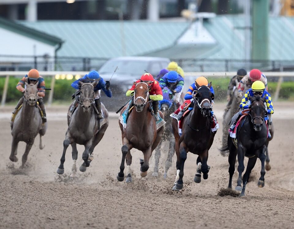 Tappan Street - Florida Derby G1 - Coglianese Photo