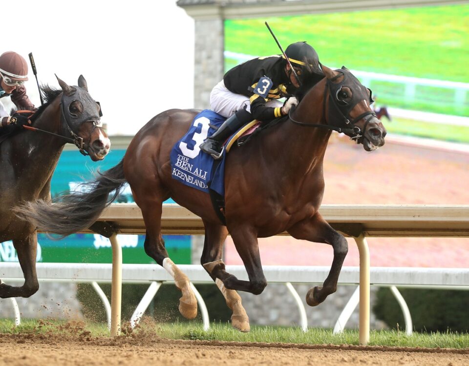 Tennessee Lamb - Ben Ali G3 - Coady Media