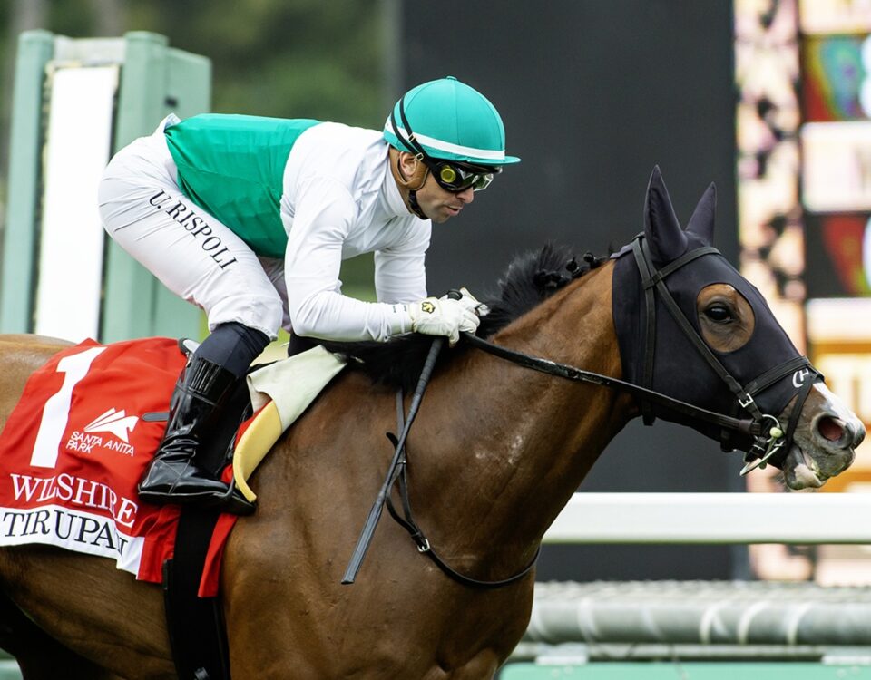 Tirupati - Wilshire Stakes - Benoit Photo