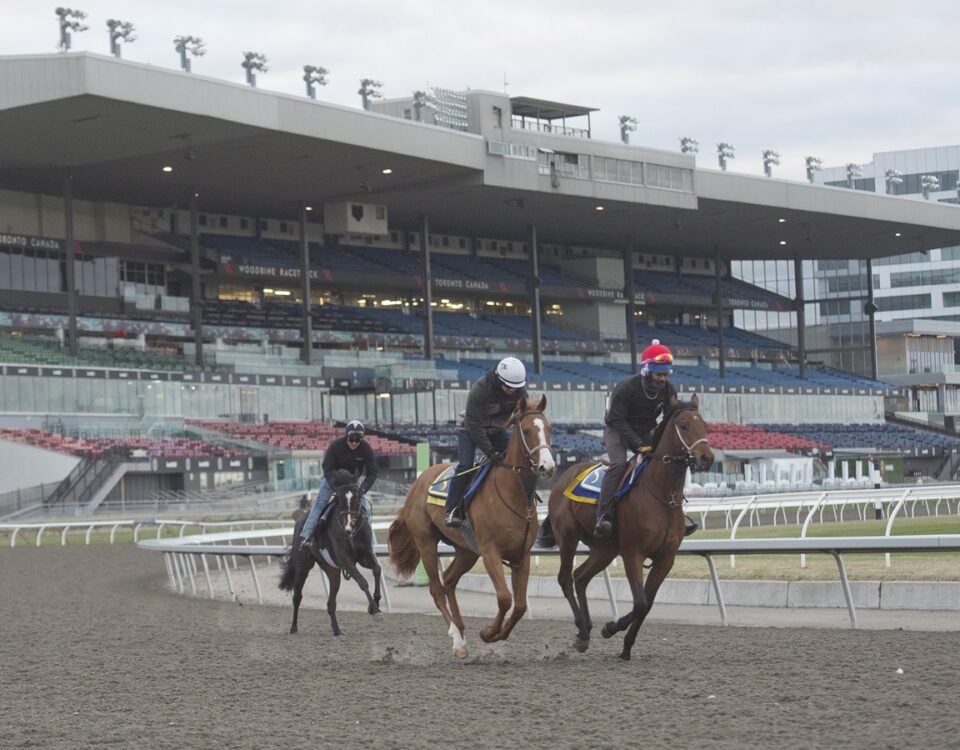 Woodbine workouts - Michael Burns