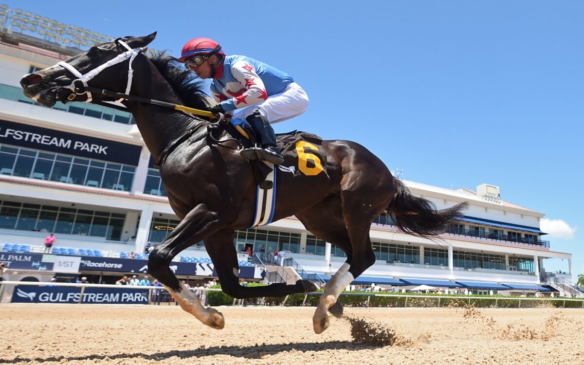 Andrea - Ryan Thompson - Coglianese Photo