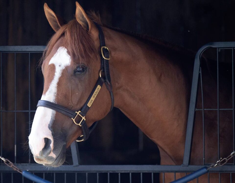 Carl Spackler - Barbara D. Livingston - Daily Racing Form