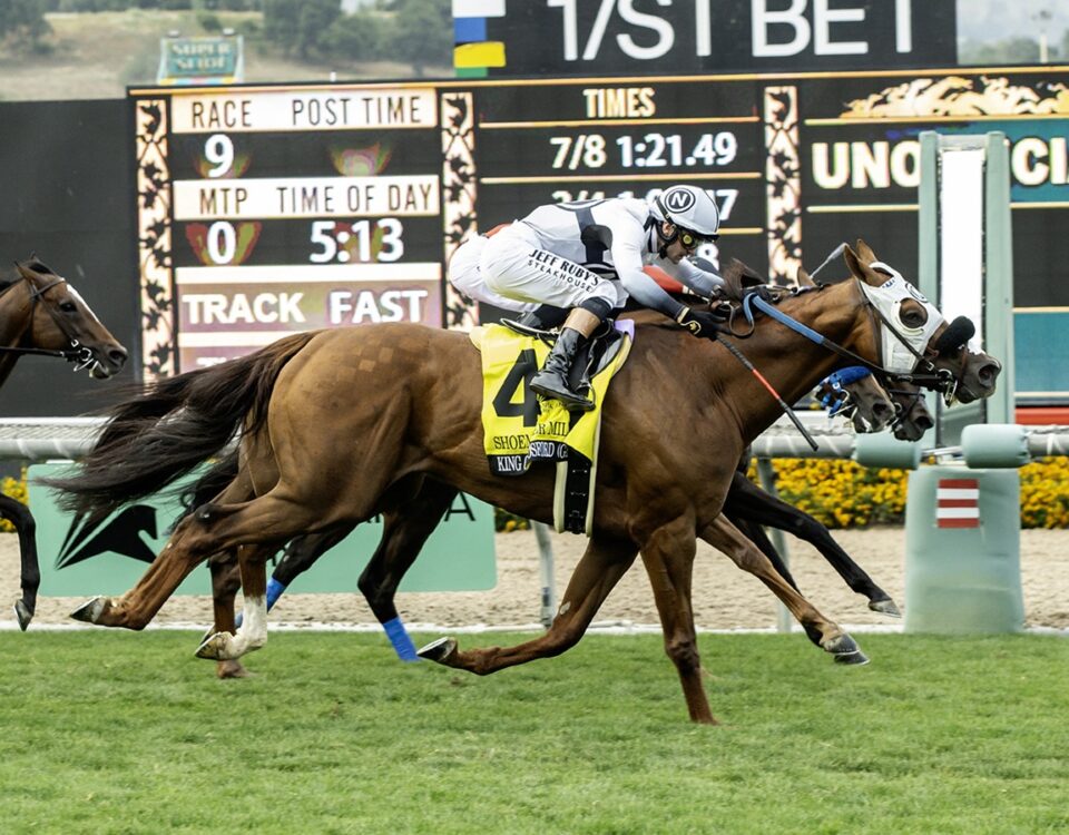 King of Gosford - Shoemaker Mile G1T - Benoit Photo