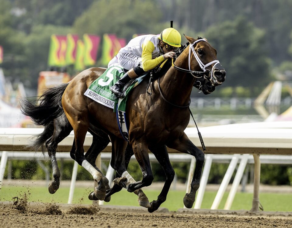 Skippylongstocking - Hollywood Gold Cup G2 - Benoit Photo