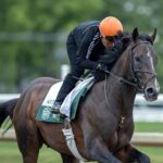 Sovereignty en Saratoga - Foto: Barbara D. Livingston / Daily Racing Form