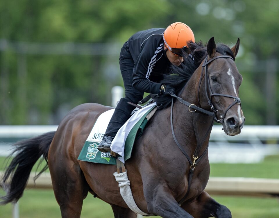 Sovereignty en Saratoga - Foto: Barbara D. Livingston / Daily Racing Form